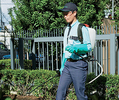 芝生の年間お手入れサービス