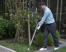 施肥(肥料やり)は樹木本来の持つパワーを引き出します。